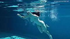 Redare Teen rusă fierbinte scufundată într-un costum de baie sexy sub apă