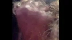 Afspelen Dj de algemene overste op presentagram