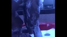 Redare Jacuzzi distractiv