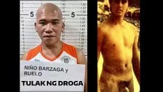Jouer ID d'envoi Dzmm