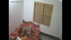 Oynat yeni masti